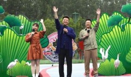 安阳爆料新闻最新消息视频,视频揭露惊人真相，事件引发社会关注